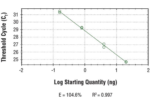 PCR Efficiency